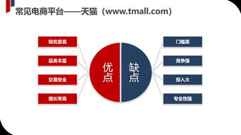 电商新纪元 品牌定位引领创业新征程